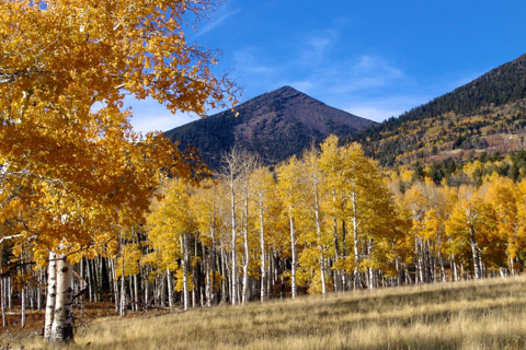 San Francisco Peaks