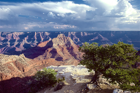 Grand Canyon